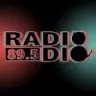 Radio Dio - Roubaix