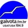 GAIVOTA - Ubatuba