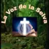 Radio Alegría y Fe Stereo - San Jose del Guaviare