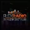 Flex Radio - Uden