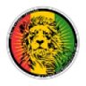 Radio Reggae Selekta - Villa Mercedes