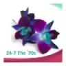 24-7´S THE ´70S - Nottingham