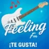 FEELING FM - Los Condores