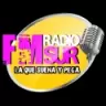 FM Sur - Concepcion