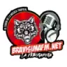 Bravísima fm - Santiago