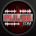 Pulse EDM - ONLINE