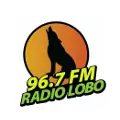 Radio Lobo Celaya - FM 96.7 - Celaya