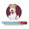 Radio Estación Fox - San Salvador