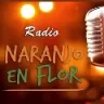 Radio Nef Naranjo en Flor - Buenos Aires