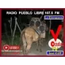 Pueblo Libre - Birongo