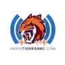Radio Tigres Broadcast Baseball Channel - Maracay