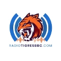 Radio Tigres Broadcast Baseball Channel - ONLINE