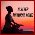 A Sleep Natural Mind - ONLINE