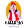 Gallo FM - Minas de Riotinto