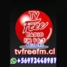 TvfreeFm - Quilpue