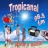 Tropicanal Tropical - Pasto