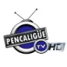 Pencaligue TV Radio - Honduras