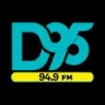 D95 Your Music - Chihuahua