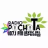Radio Pochota - Amatlan