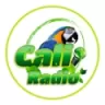 Caliradio - Cali