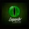 Lagarto - Valencia