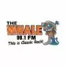 The Whale - Binghamton