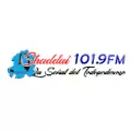 Radio Shaddai FM - FM 101.9