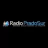 Radio Prado Sur - Montevideo
