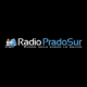 Radio Prado Sur