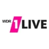 1Live Plan B - Bonn