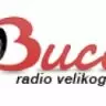 RADIO BUCA - Novi Sad