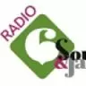 RADIO 6 - Hilversum