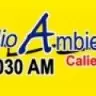 RADIO AMBIENTE - West Memphis