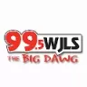 The Big Dawg - Beckley