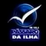 PASSARO DE AIHA - Minas Novas