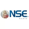 Radio NSE - Barcelona