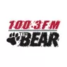 Radio The Bear - Edmonton